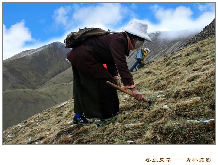 Dong trung ha thao Dong trung ha thao