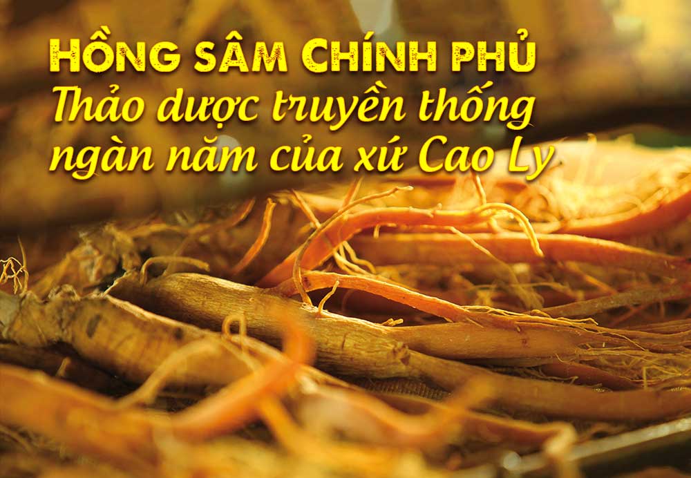 luong_sam_cu_kho_kgc_han_quoc