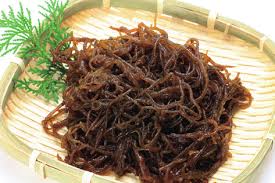 fucoidan tảo chống ung thư