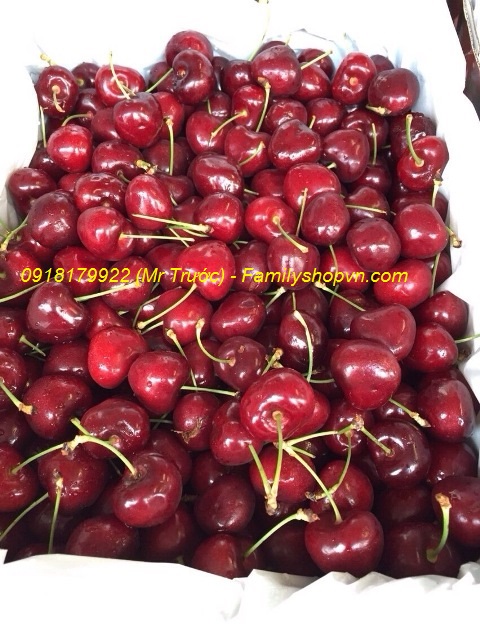 cherry úc hcm