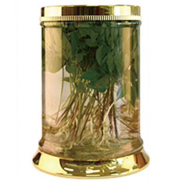 bình ngâm rượu hàn quốc 27.5 lít