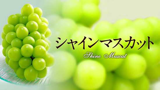 nho mau don nhat ban xach tay