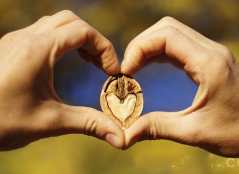 công dụng hạt óc chó