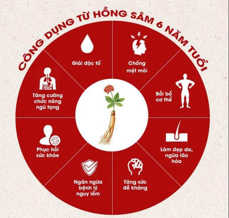 hồng sâm lát tẩm mật ong kgc hàn quốc