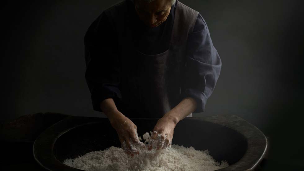 Skii là gì, thương hiệu Skii