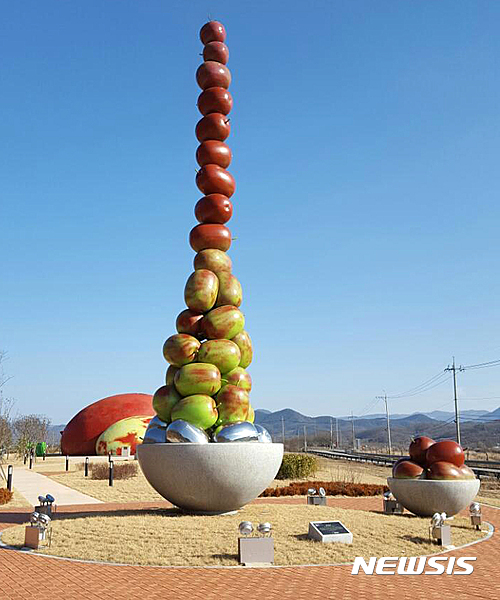 táo đỏ khô hàn quốc