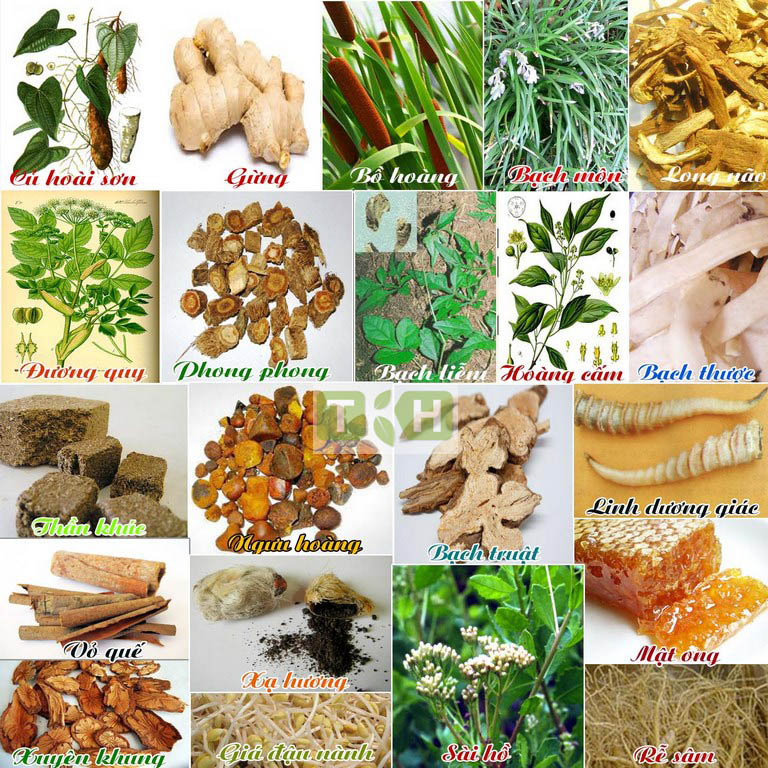 an cung ngưu hoàn đỏ tổ kén hàn quốc