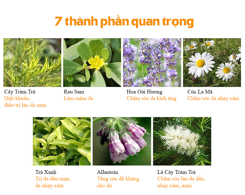 Mỹ phẩm Queenie nước hoa hồng trị mụn kháng viêm cho da nhạy cảm & da mụn