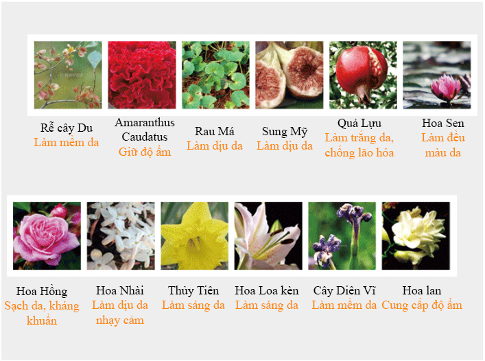 Mỹ phẩm queenie Gel tẩy tế bào chết cho da nhạy cảm, da mụn