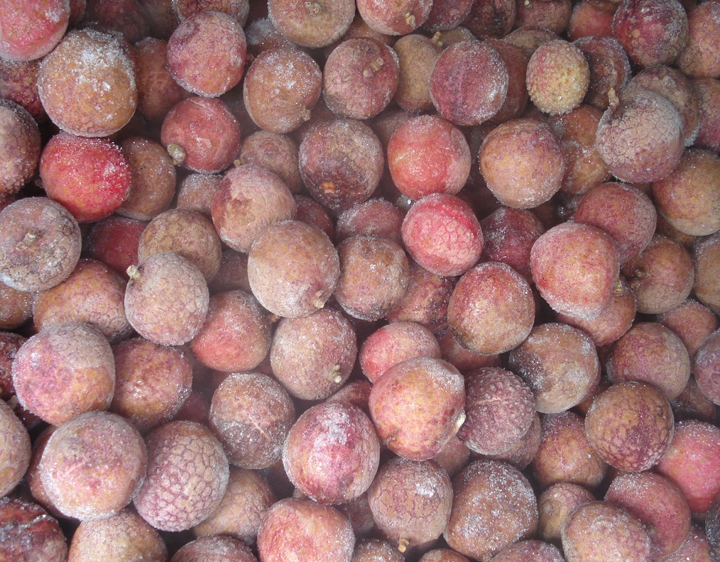 Frozen Lychee Hanofoods