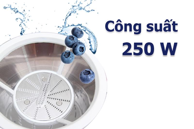 Máy ép trái cây Bluestone JEB-6519