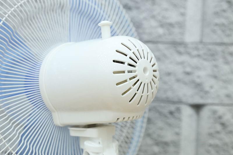 Quạt điện Midea FS40-11V