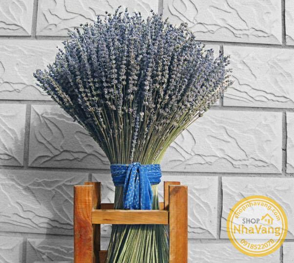hoa-kho-lavender-cua-phap-nv305