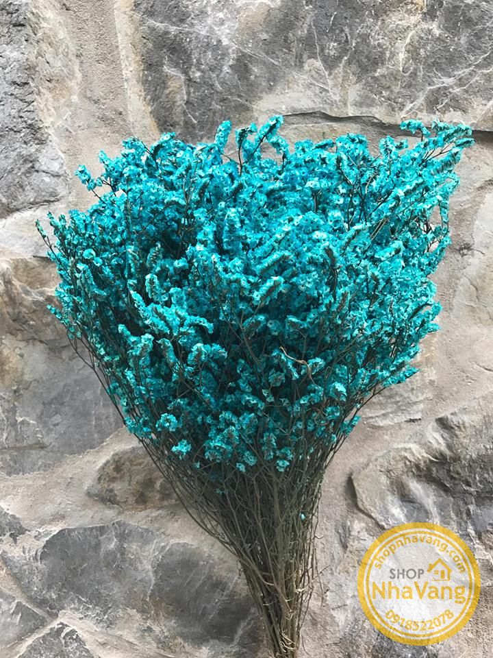 hoa-sao-kho-trang-tri-200gram-nv309
