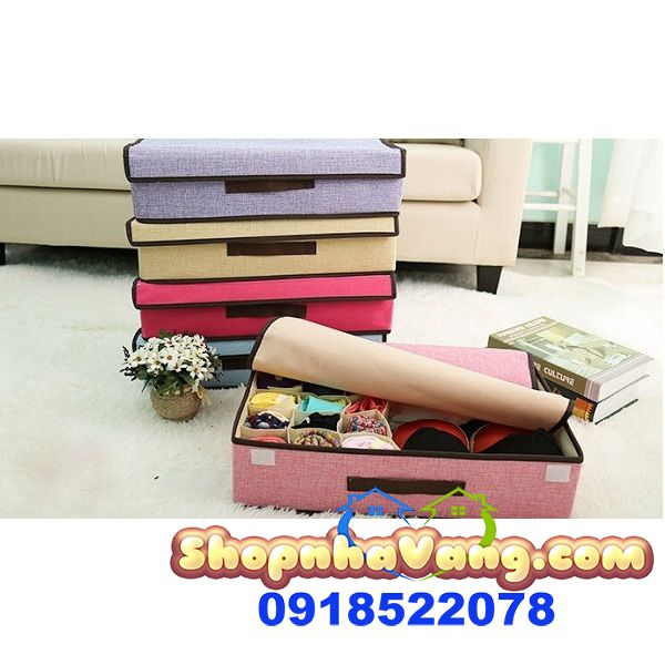 Hộp Đựng Đồ Lót 16 Ngăn Có Nắp Tiện Dụng NV113