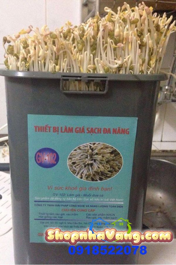 Máy Làm Giá, Rau Mầm Sạch Tiện Lợi NV183