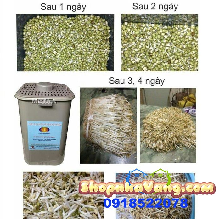 Máy Làm Giá, Rau Mầm Sạch Tiện Lợi NV183