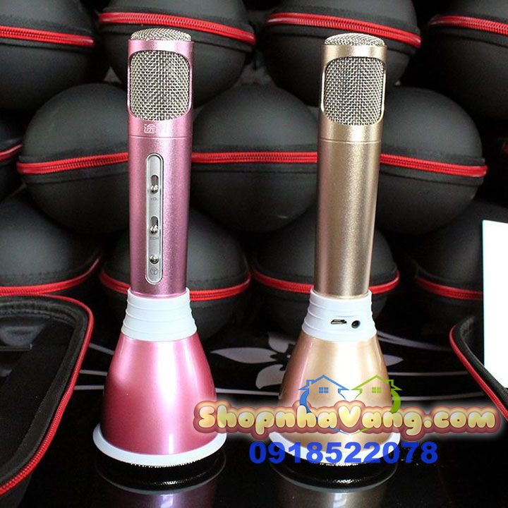 mic-kem-loa-hat-karaoke-3-trong-1-nv58