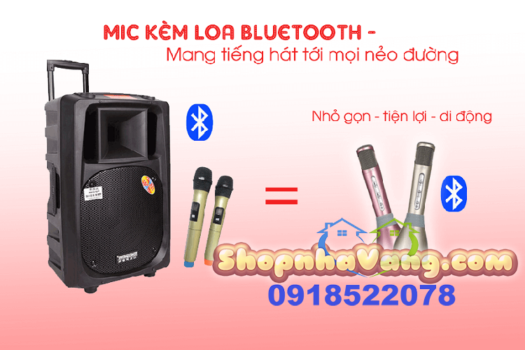 mic-kem-loa-hat-karaoke-3-trong-1-nv58