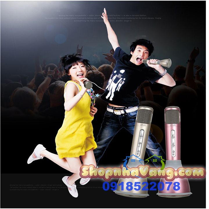 mic-kem-loa-hat-karaoke-3-trong-1-nv58