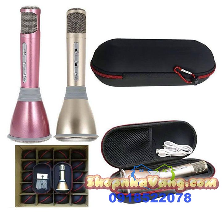 mic-kem-loa-hat-karaoke-3-trong-1-nv58
