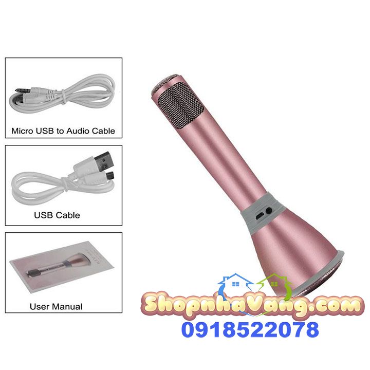 mic-kem-loa-hat-karaoke-3-trong-1-nv58