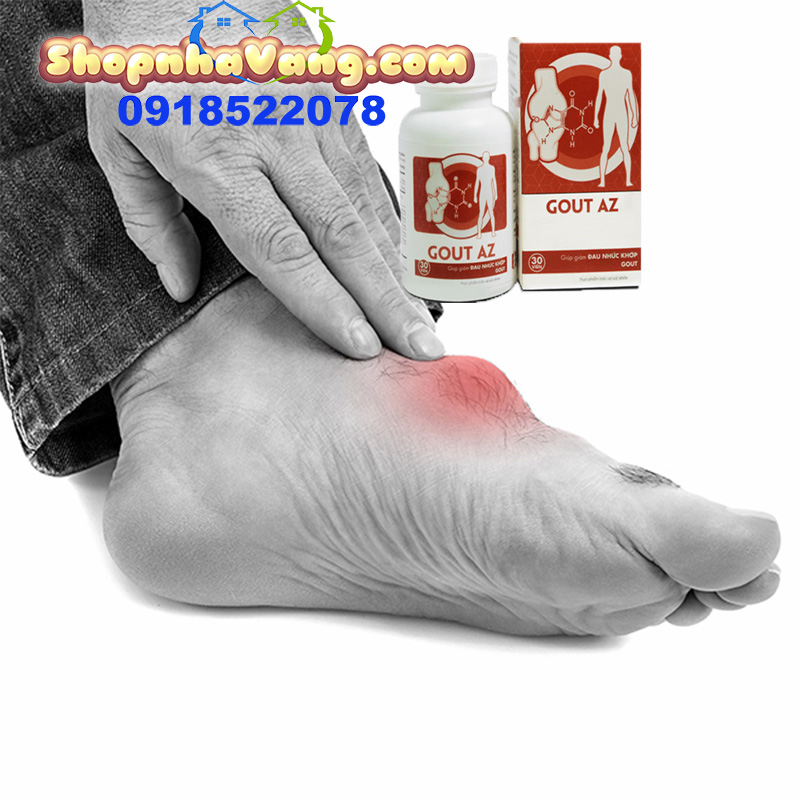Thực Phẩm Chức Năng Gout AZ Giúp Giảm Đau Nhức Khớp Gout NV481