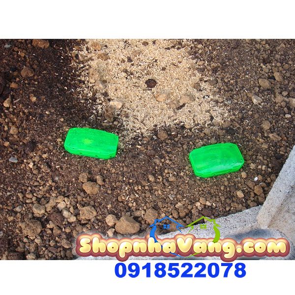 Thuốc Diệt Kiến Nhật Bản NV143