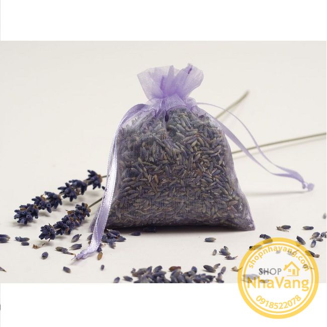 nu-hoa-lavender-kho-tu-phapkg-nv308