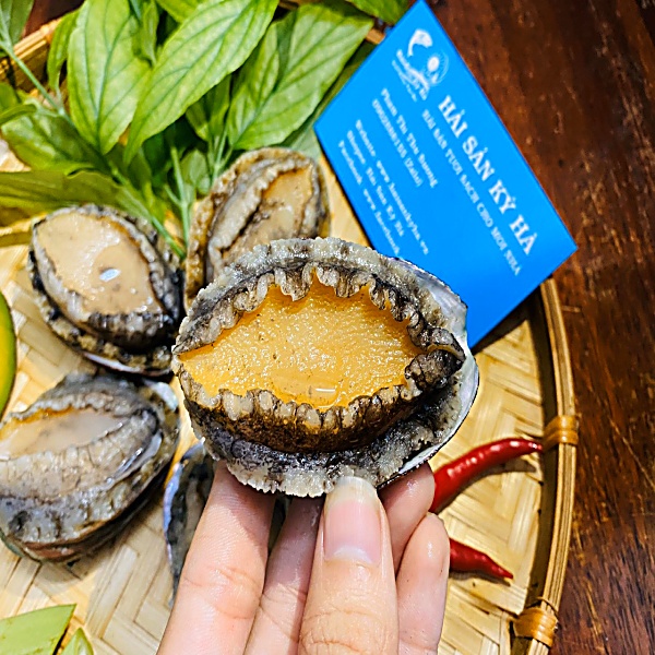 Địa chỉ bán sỉ Bào ngư hàn quốc giá rẻ và chất lượng - Hải Sản Kỳ Hà