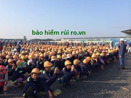 Bảo hiểm tai nạn lao động giảm 10%