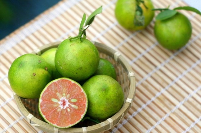 Bí kíp chống say xe cực hiệu quả khi đi du lịch hè bạn nên biết