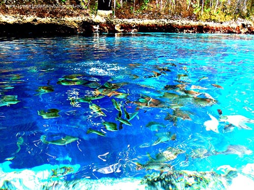 Bí ẩn về dòng sông không có nguồn ở Philippines