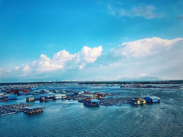 Giải tỏa cái nắng gắt của Sài Gòn tại 6 bãi biển hoang sơ tuyệt đẹp ngay sát vách thành phố