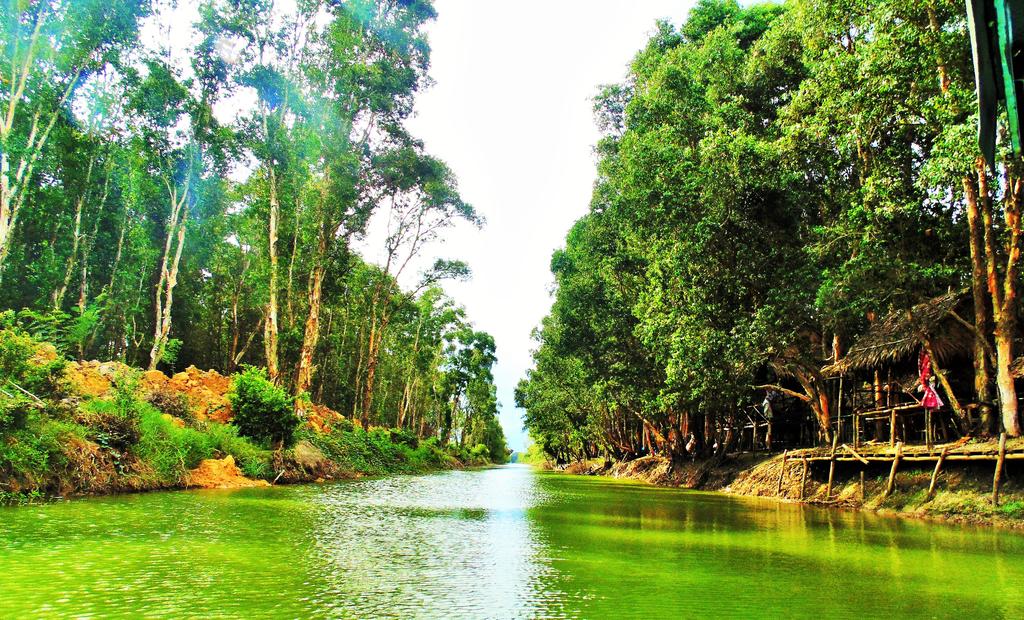 Khám phá mô hình du lịch homestay ở Tràm Chim