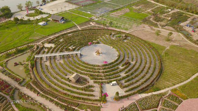 Mê cung hoa lớn nhất Việt Nam đẹp như cổ tích ở Hà Nội