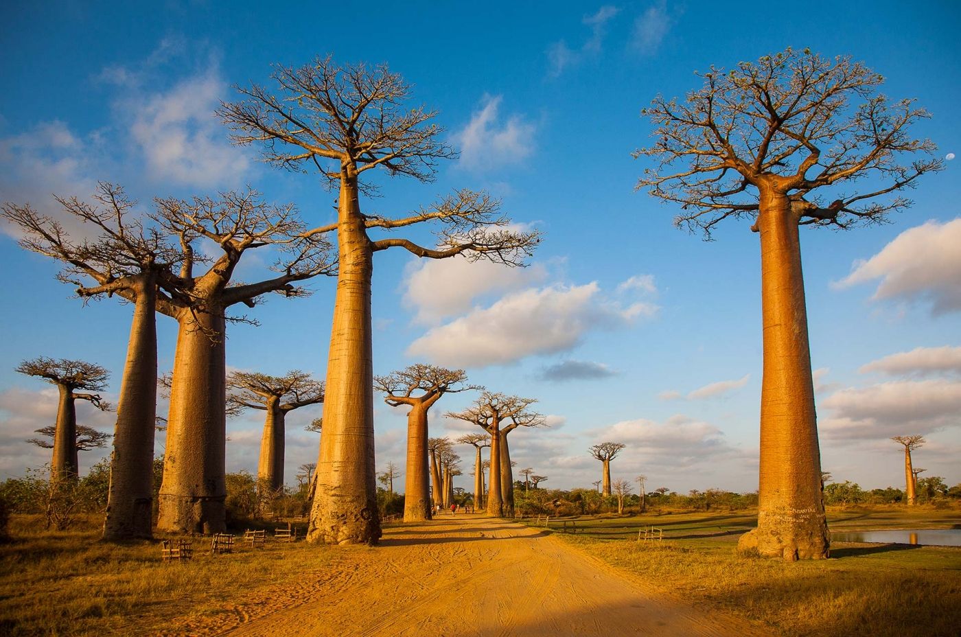 Đất nước Madagascar