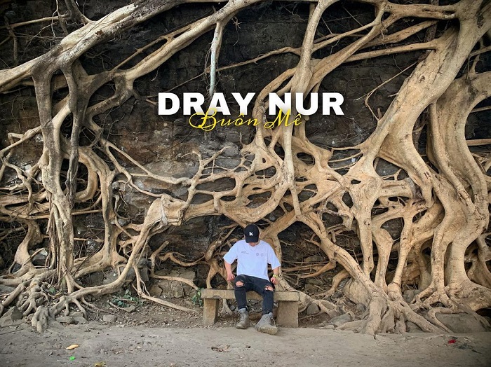 Hết hồn trước bộ rễ cây si cổ thụ khủng ở Đắk Lắk, thu hút du khách check in nườm nượp