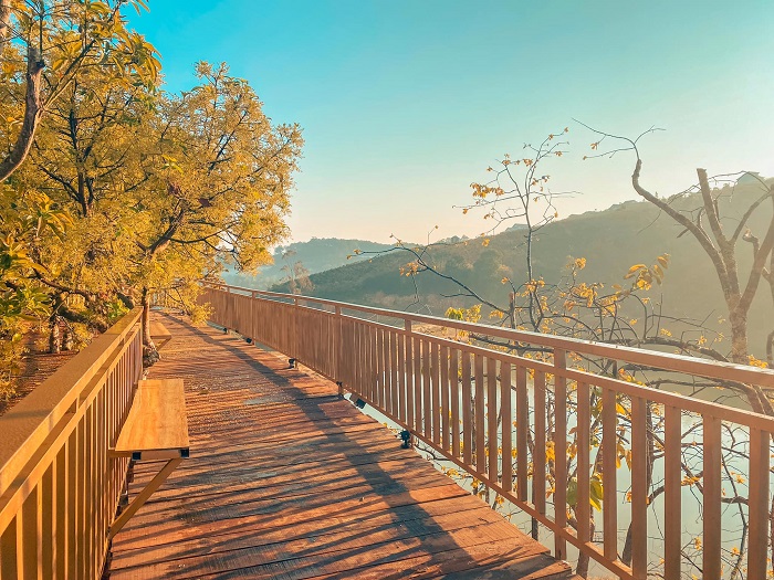 'Con đường Hàn Quốc' đậm chất ngôn tình ở cà phê Mộc Trà Farm Đà Lạt