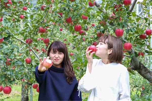 Đã tới Nhật Bản mà bỏ qua điểm du lịch này thì vô cùng uổng phí