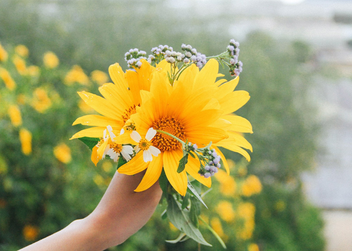 Du lịch tháng 11, tận hưởng cái lạnh đầu đông ở 4 điểm đến lý tưởng nhất