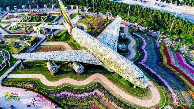 Vườn hoa khổng lồ giữa... sa mạc Trung Đông
