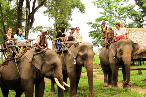 Du khách “đổ' về Bản Đôn cưỡi voi, thưởng thức cồng chiêng