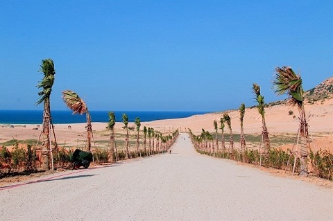 Đẹp phát hờn làng chài Sơn Hải phiên bản "Dubai thu nhỏ của Việt Nam"