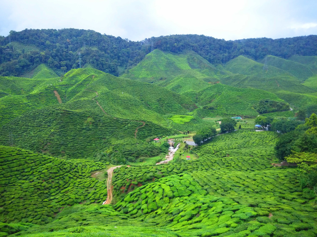 Khám phá 'nước Anh thu nhỏ' giữa vùng cao nguyên của Malaysia