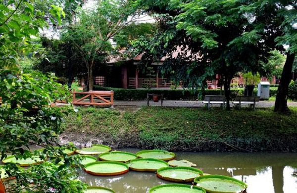 Hòa An: Làng nhà sàn độc đáo ở Cao Lãnh