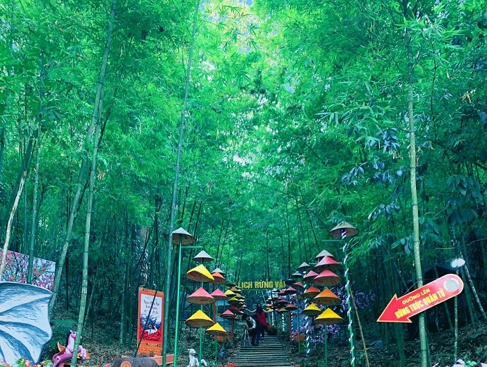 Ngoài Mộc Châu, bạn cũng có thể về Khu du lịch Rừng Vàng Sơn La 'quẩy banh nóc'