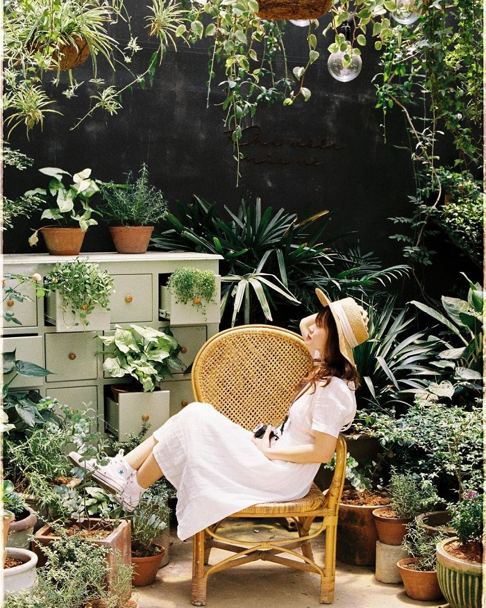 Dù mùa đông đang giá lạnh, nhưng dân tình vẫn 'lùng' ra Khu vườn mùa hè Đà Lạt đầy cỏ cây hoa lá