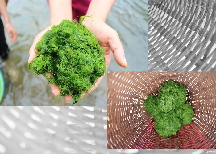 Độc đáo những món đặc sản được chế biến từ rêu đá núi rừng Tây Bắc