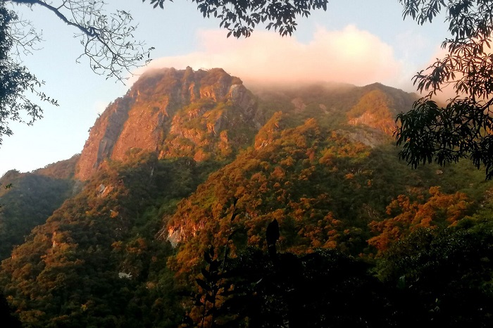 Choáng ngợp trước vẻ đẹp mùa lá phong vàng ở núi rừng Tây Bắc